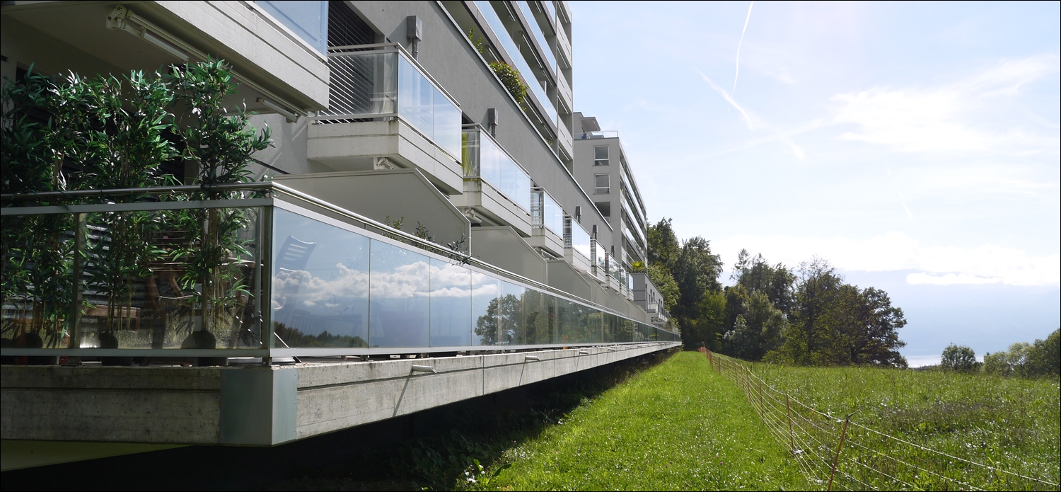 Auteuil & Longchamp